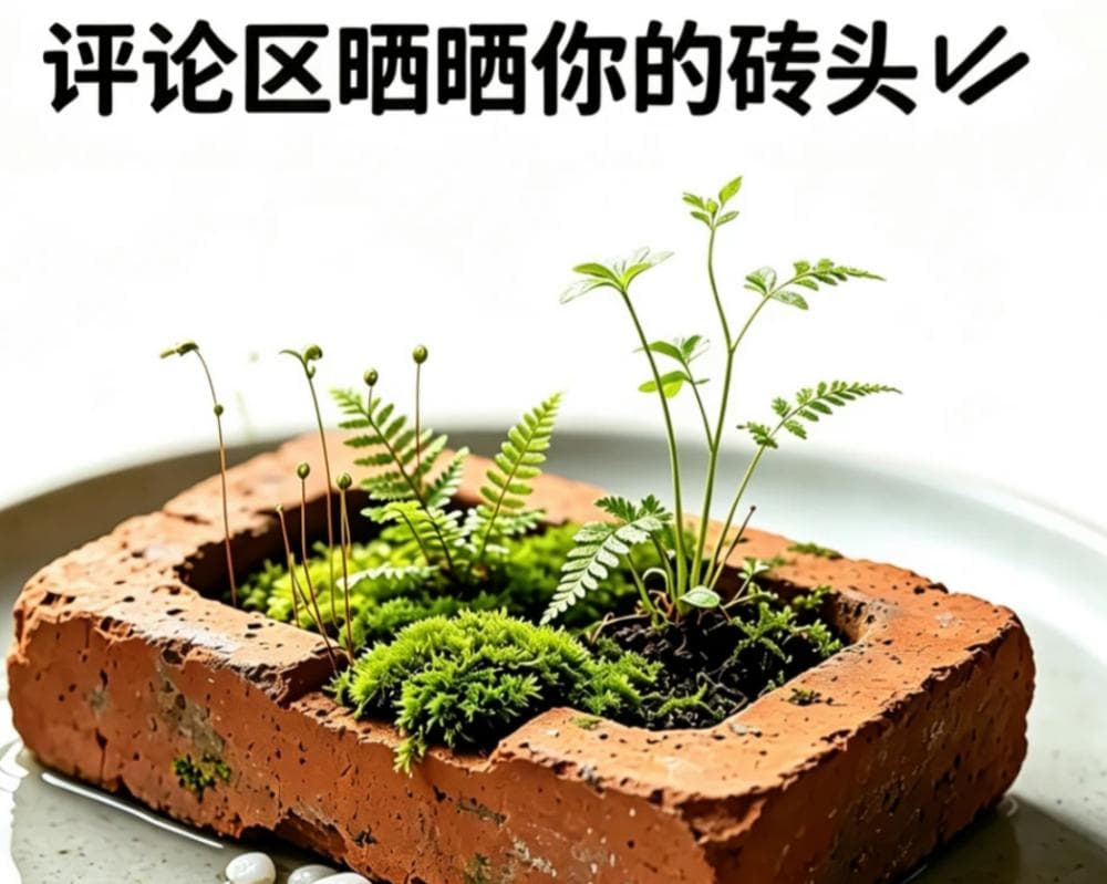 Chinese characters above a brick growing plants.